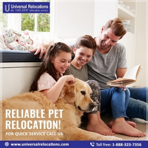Relocate Your Pets With You